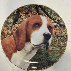 BEAGLES lovers‎ plate collection by Simon Mendez